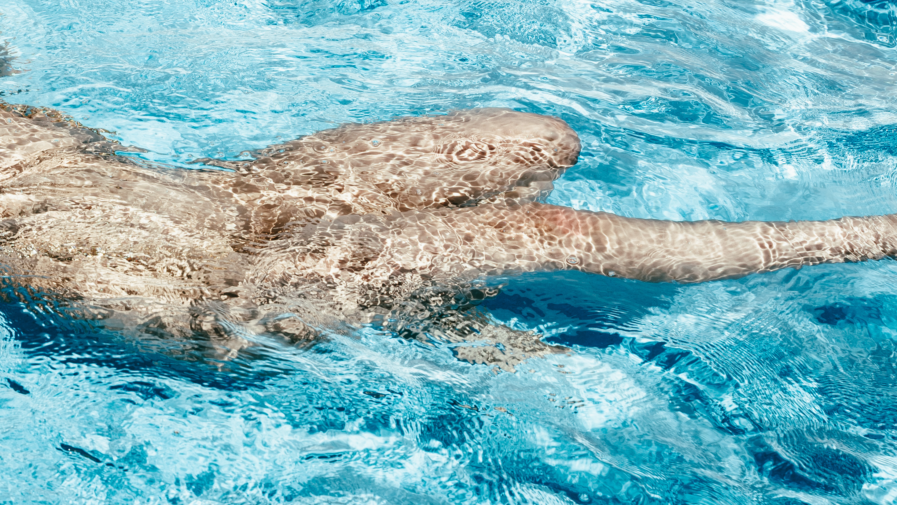 Wide shot of both models inside the graphic architecture