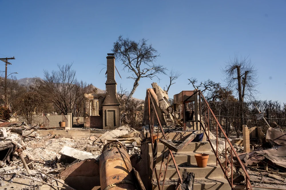 Eaton Fire photograph 02